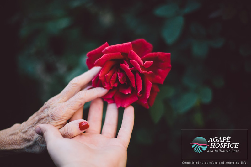hand touching flower