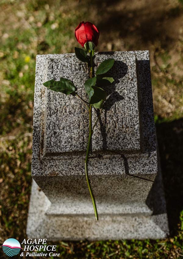 A rose on a grave marker in Torrance, CA