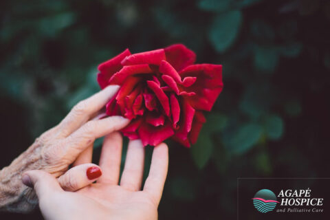 Someone in hospice care at the end of their life holding hands and touching a rose in Torrance, CA